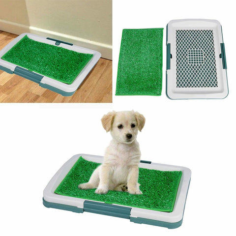 Pet Puppy Trainer Dog  Absorbent Mat