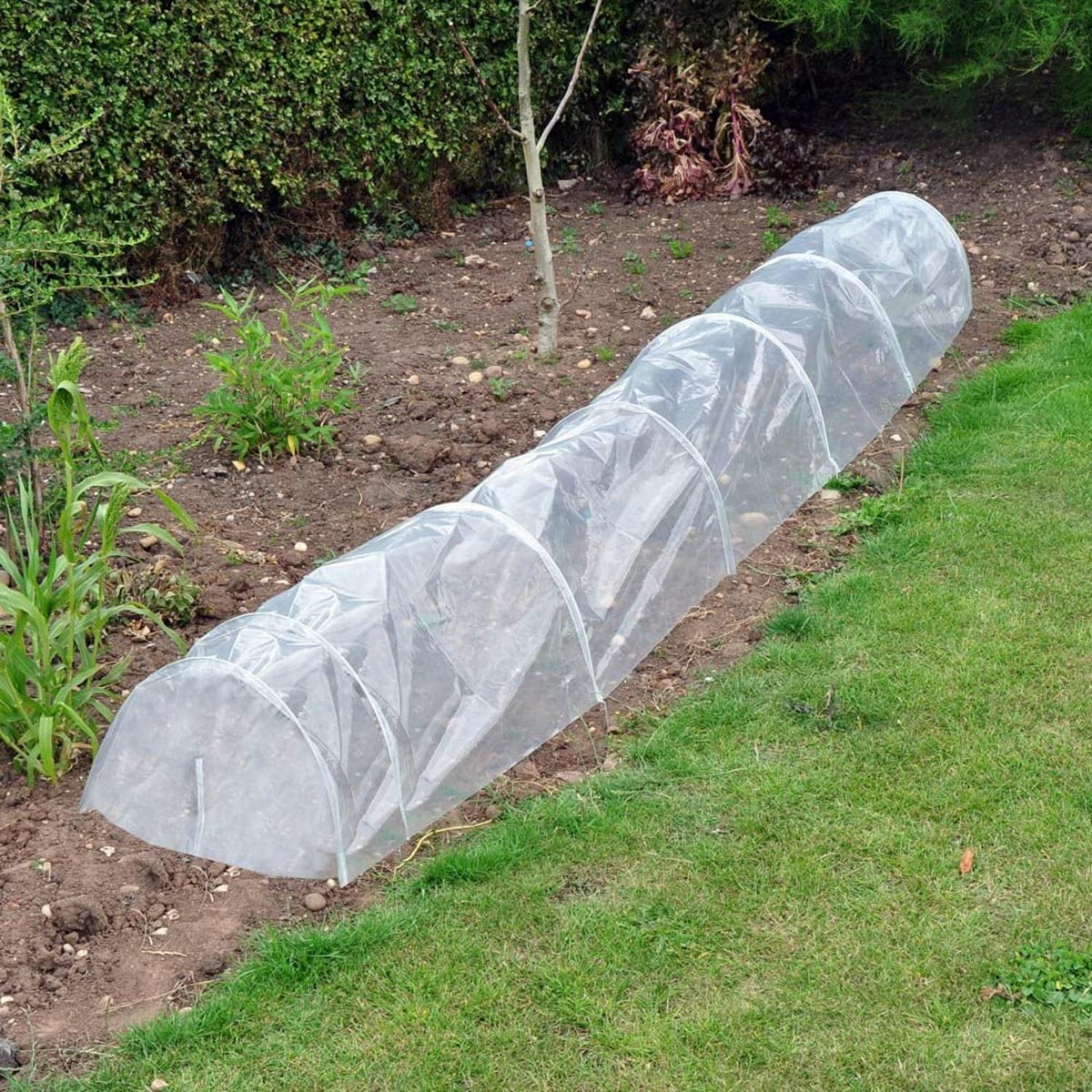 Greenhouse Grow Poly Tunnel Cloche